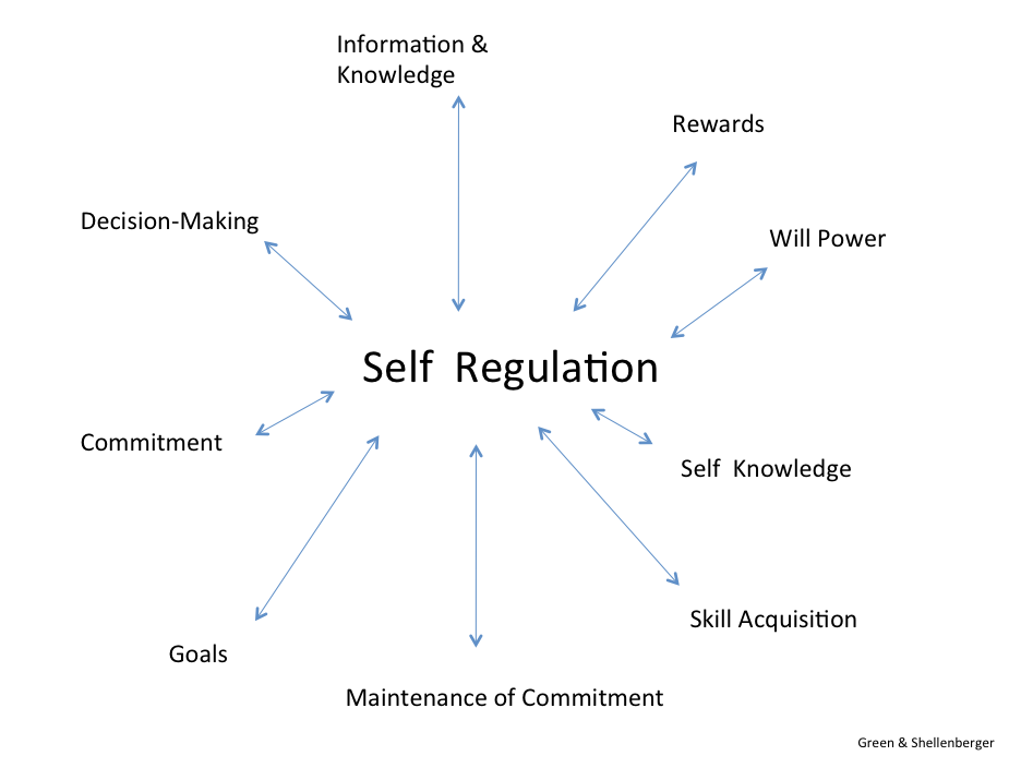 Self method. Self Regulation. Self-Regulation Psychology. The model of self Regulation. Self-Regulation of Mental States.